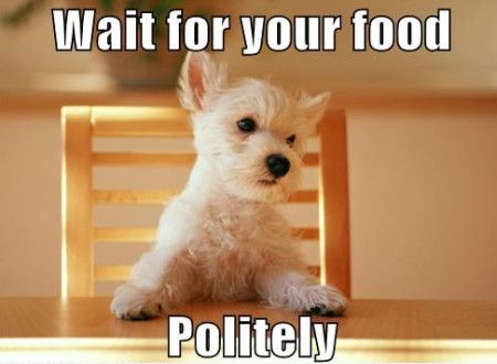 wait-for-your-food-politely-funny-food-meme-picture